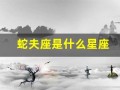 蛇夫座是什么星座(蛇夫座是什么星座最配)