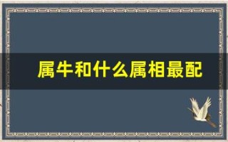属牛和什么属相最配(属鼠和什么属相最配)