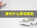 猪和什么属相最配(生肖猪和什么属相最配)