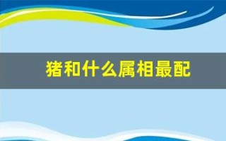 猪和什么属相最配(生肖猪和什么属相最配)
