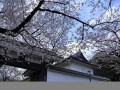 3月27(3月27日的避难所)