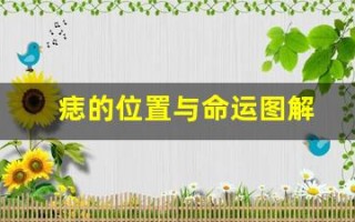 痣的位置与命运图解(手背上的痣的位置与命运图解)