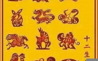 自讨没趣是什么生肖(自讨没趣是什么生肖精准)