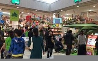 2016年11月25日(2016年11月25日阳历是多少)