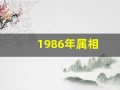 1986年属相(1986年属相今年多大了)
