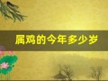 属鸡的今年多少岁(属兔的今年多少岁)