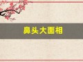 鼻头大面相(鼻头大面相男)