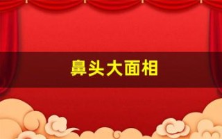 鼻头大面相(鼻头大面相男)