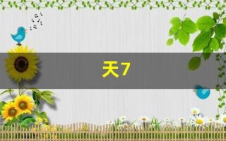 天7