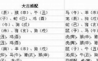 属鼠和什么属相最配(属龙和什么属相最配)