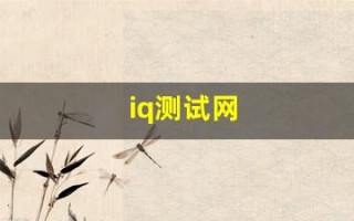 iq测试网(iq测试百度百科)