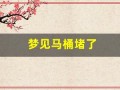 梦见马桶堵了(梦见马桶堵了什么预兆)