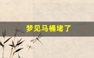 梦见马桶堵了(梦见马桶堵了什么预兆)