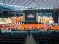 10月12日(10月12日的生辰花是什么)