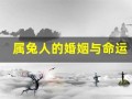 属兔人的婚姻与命运(属兔人的婚姻命运如何女)