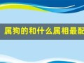属狗的和什么属相最配(属狗的和什么属相最配)