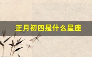 正月初四是什么星座(2006年正月初四是什么星座)