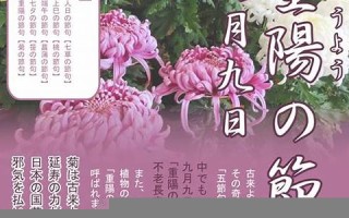 9月9(9月9日忆山东兄弟唐王维古诗)