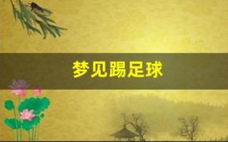 梦见踢足球(梦见踢足球是什么预兆周公解梦)