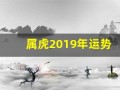 属虎2019年运势(生肖虎2019年运势大全)