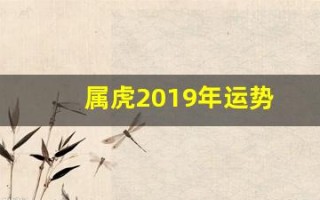 属虎2019年运势(生肖虎2019年运势大全)