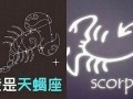 巨蟹女和天蝎男(巨蟹女和天蝎男的匹配度)