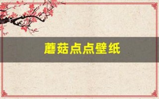 蘑菇点点壁纸(蘑菇点点情侣壁纸)