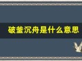 破釜沉舟是什么意思(破釜沉舟是什么意思生肖)