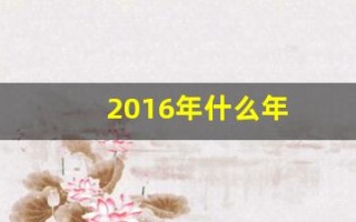 2016年什么年(2016年什么年生肖属相)