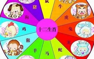 三心两意是什么生肖(三心两意是什么生肖数学)