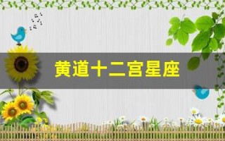 黄道十二宫星座(黄道十二宫星座排位)