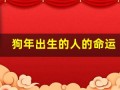 狗年出生的人的命运(狗年出生人的命运最好)