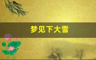 梦见下大雪(梦见下大雪满地很厚很白)
