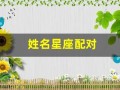 姓名星座配对(姓名星座配对测试免费查询)