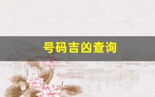 号码吉凶查询(号令天下手机号码测吉凶)