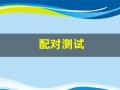 配对测试(星座配对测试)