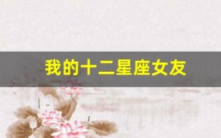 我的十二星座女友(我的十二星座女友小说)