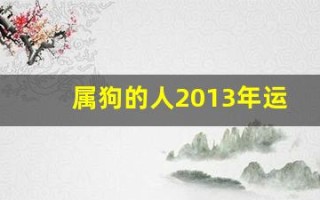属狗的人2013年运程大全及破解(属狗2014)