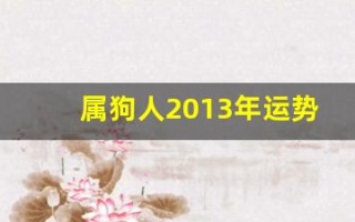 属狗人2013年运势(属狗人2025年运势)