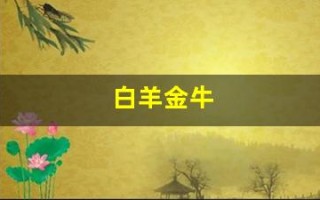 白羊金牛(白羊金牛适合在一起吗)