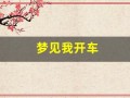 梦见我开车(梦见我开车撞车是什么预兆)