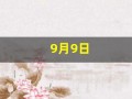 9月9日(9月9日忆山东兄弟怎么背)