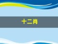 十二肖(十二肖排行表)