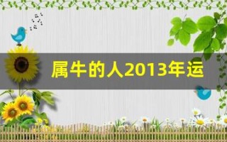 属牛的人2013年运程(属牛的人2013年多少岁)