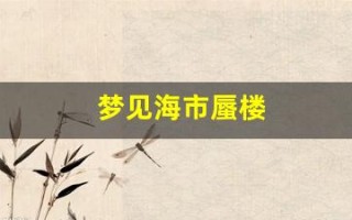 梦见海市蜃楼(梦见海市蜃楼还拍照了)