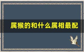 属猴的和什么属相最配(属猴和什么属相最配婚姻最佳)