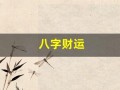 八字财运(八字财运怎么看)