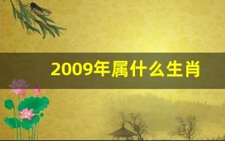2009年属什么生肖(2005年属什么生肖)