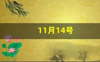 11月14号(11月14号是什么星座)