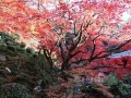 11月26(11月26日生日是什么星座)